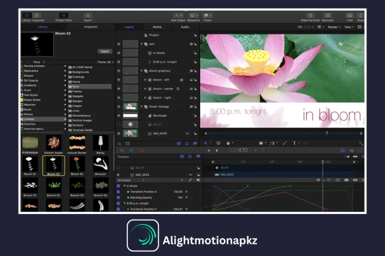 After Effects Image