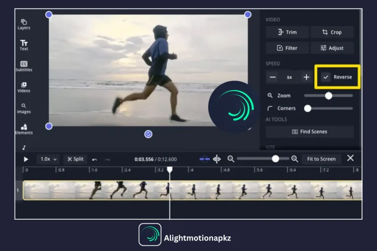 Screenshot of reverse video